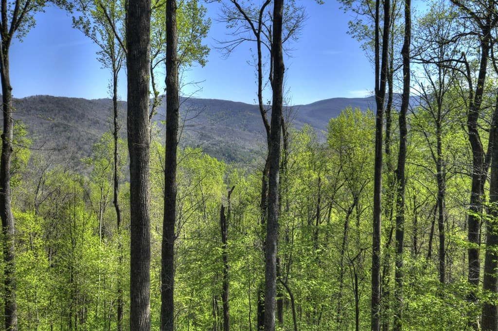 1831 Walnut Ridge, Ellijay GA 30536 - Photo