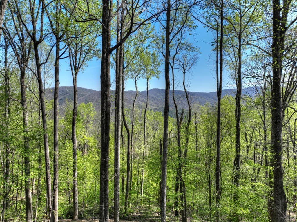 1831 Walnut Ridge, Ellijay GA 30536 - Photo