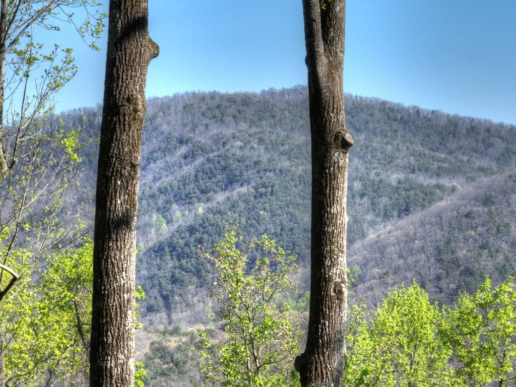 1831 Walnut Ridge, Ellijay GA 30536 - Photo