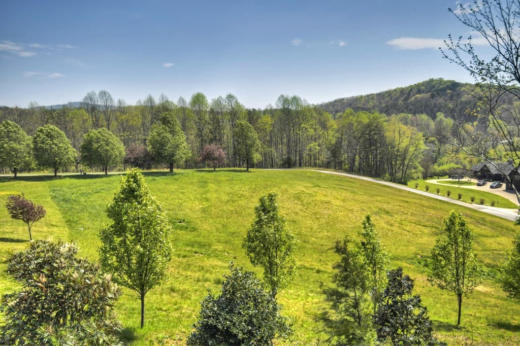 256 Bailey Farm Lane, Mineral Bluff GA 30559 - Photo