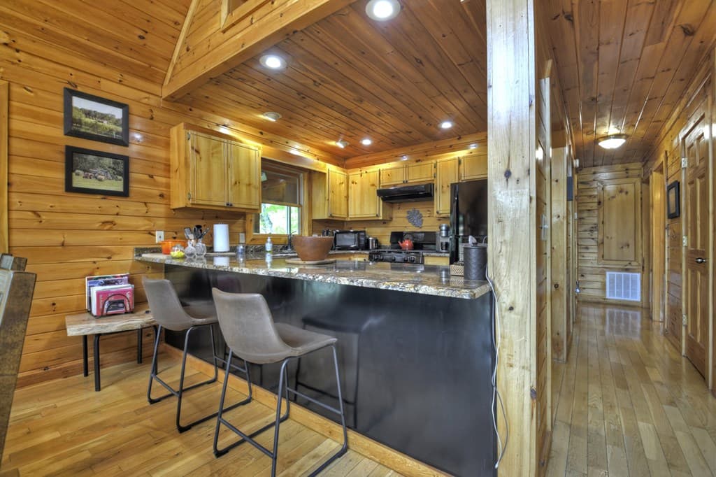 256 Bailey Farm Lane, Mineral Bluff GA 30559 - Photo