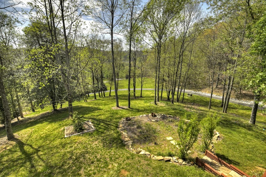 256 Bailey Farm Lane, Mineral Bluff GA 30559 - Photo
