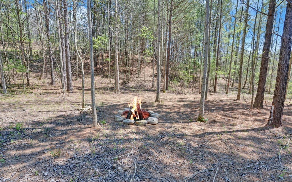 313 Burger Road, Murphy NC 28906 - Photo