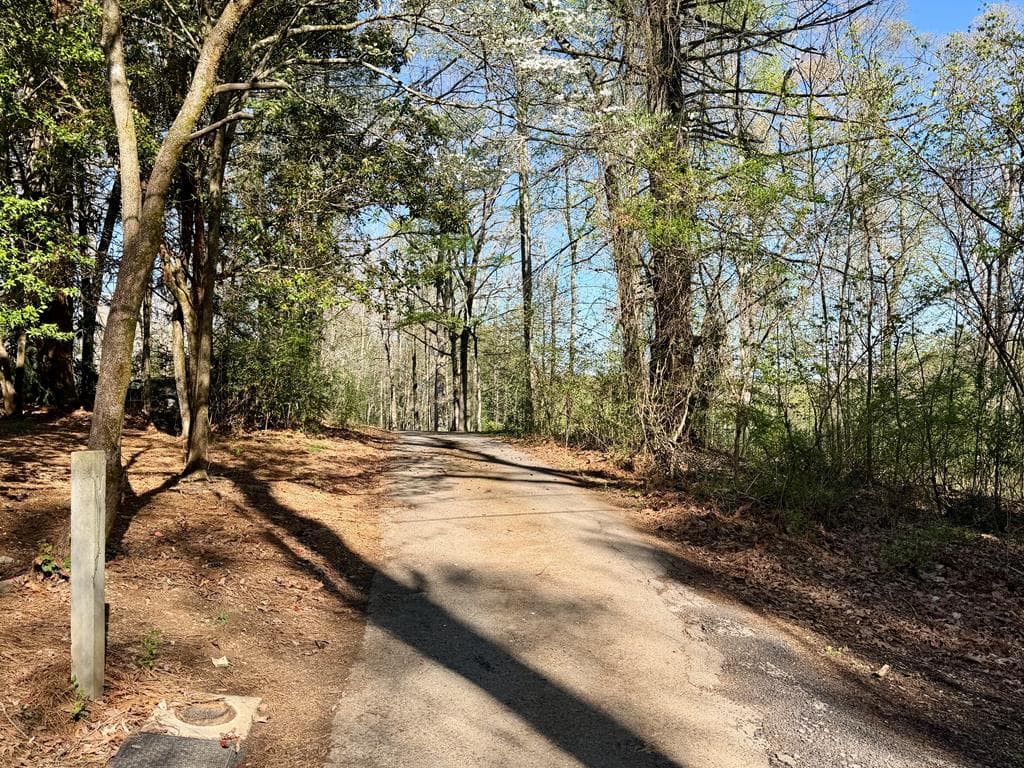 51 Lakeview Circle, Morganton GA 30560 - Photo