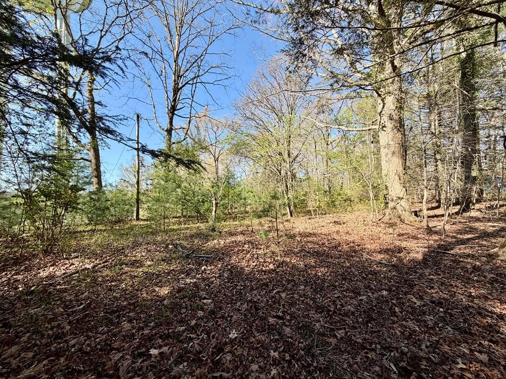 51 Lakeview Circle, Morganton GA 30560 - Photo