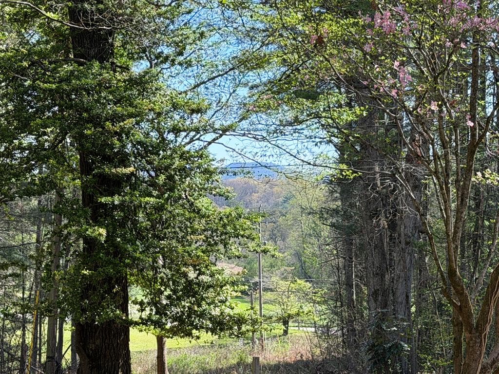 51 Lakeview Circle, Morganton GA 30560 - Photo