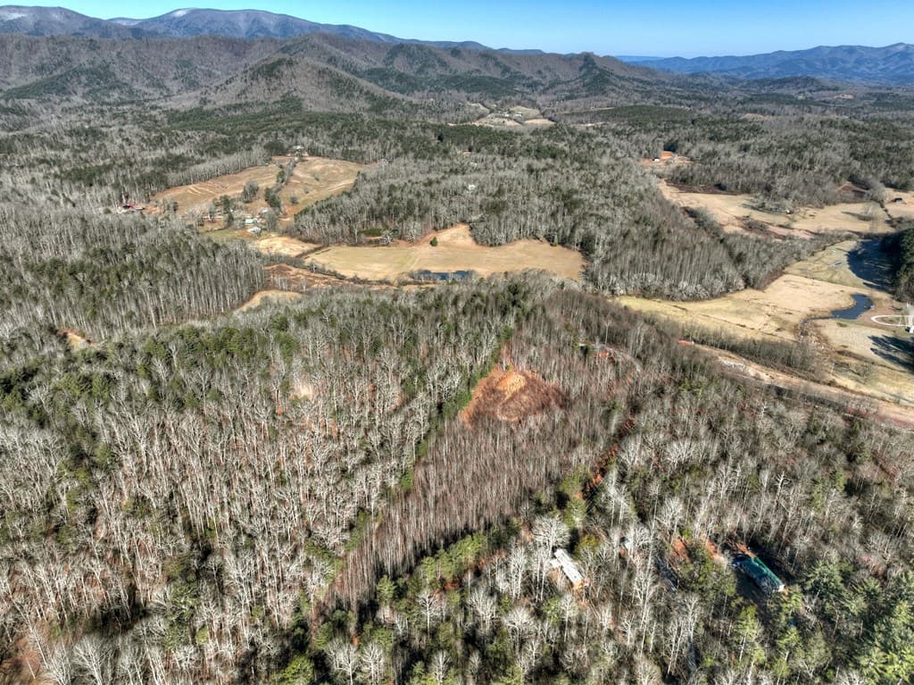 136B Pack Creek, Blue Ridge GA 30513 - Photo