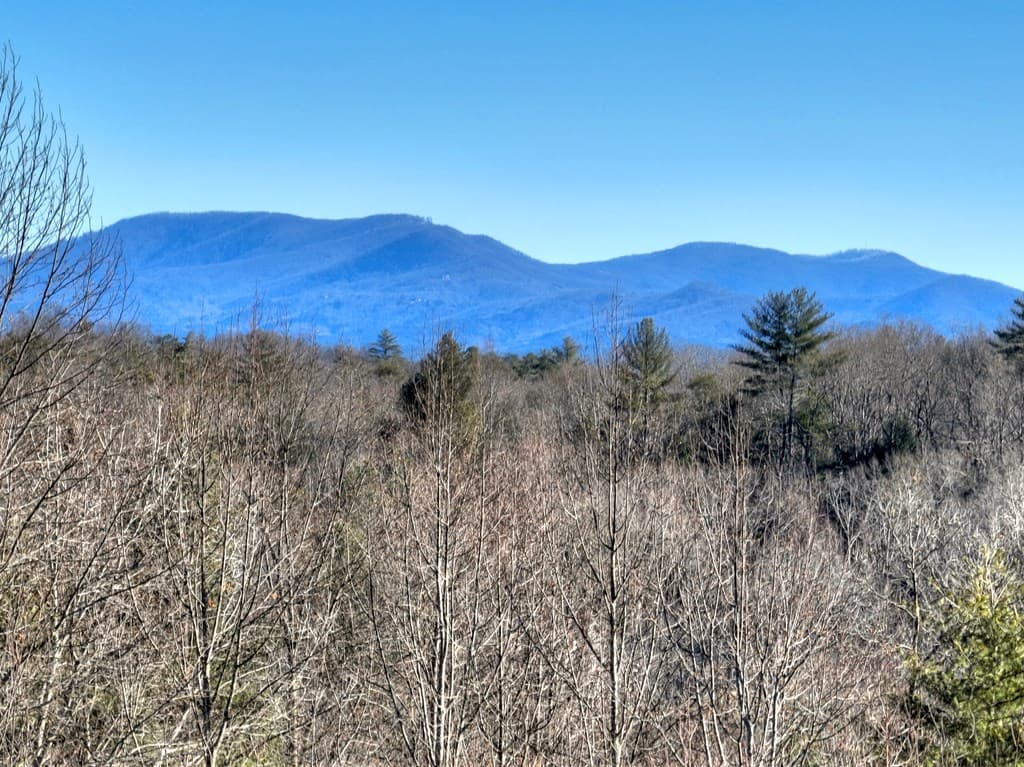 136B Pack Creek, Blue Ridge GA 30513 - Photo