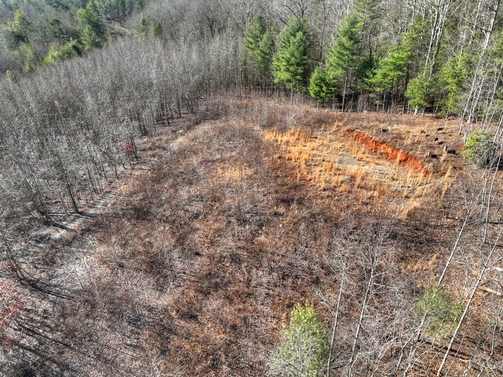 136B Pack Creek, Blue Ridge GA 30513 - Photo