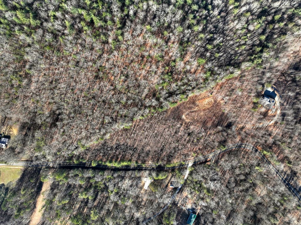 136B Pack Creek, Blue Ridge GA 30513 - Photo