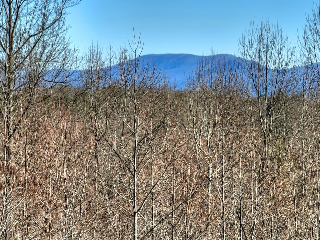136B Pack Creek, Blue Ridge GA 30513 - Photo