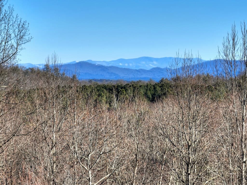 136B Pack Creek, Blue Ridge GA 30513 - Photo
