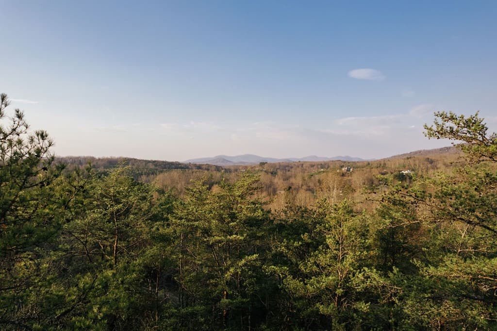 171 Huckleberry Lane, Mineral Bluff GA 30559 - Photo