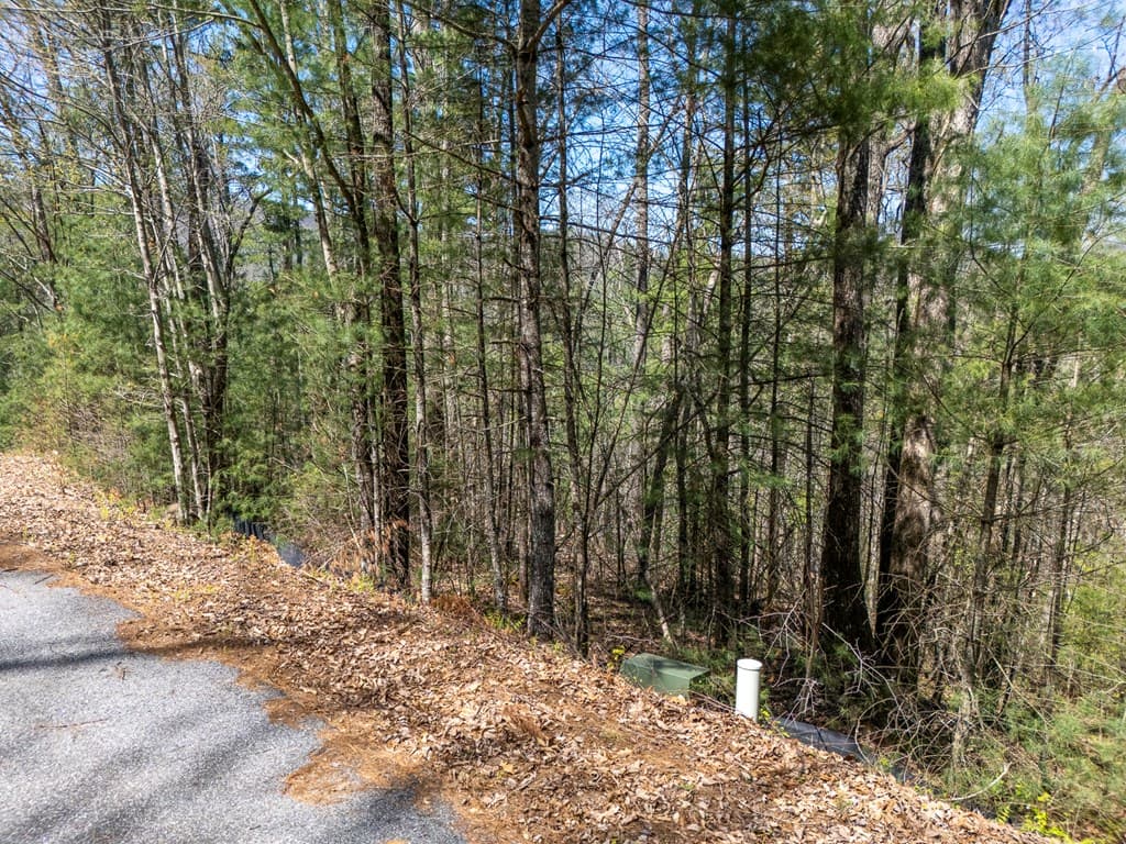 0 Laurel Trail, Suches GA 30572 - Photo