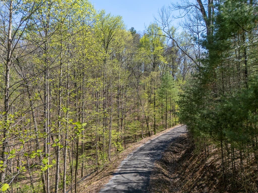 0 Laurel Trail, Suches GA 30572 - Photo