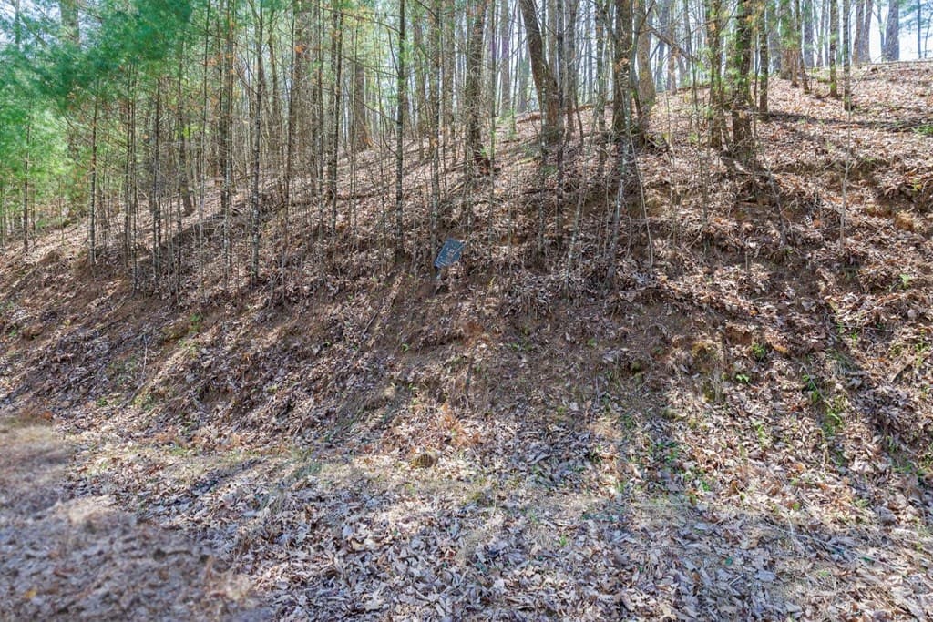 0 Laurel Trail, Suches GA 30572 - Photo