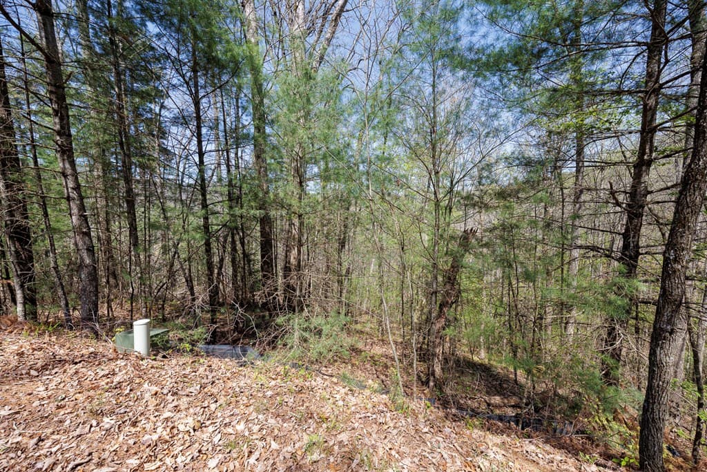 0 Laurel Trail, Suches GA 30572 - Photo