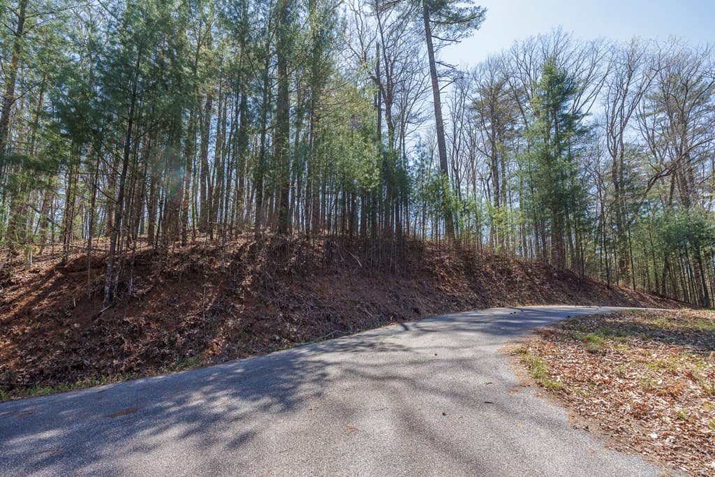 0 Laurel Trail, Suches GA 30572 - Photo