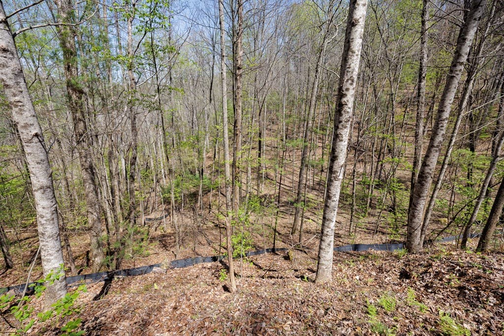 0 Laurel Trail, Suches GA 30572 - Photo