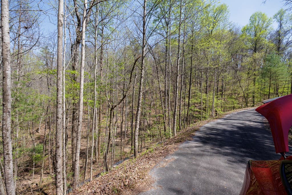 0 Laurel Trail, Suches GA 30572 - Photo