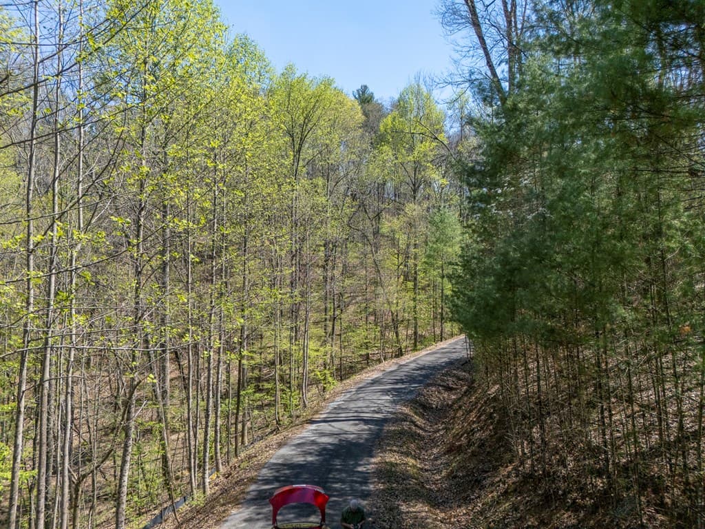 0 Laurel Trail, Suches GA 30572 - Photo