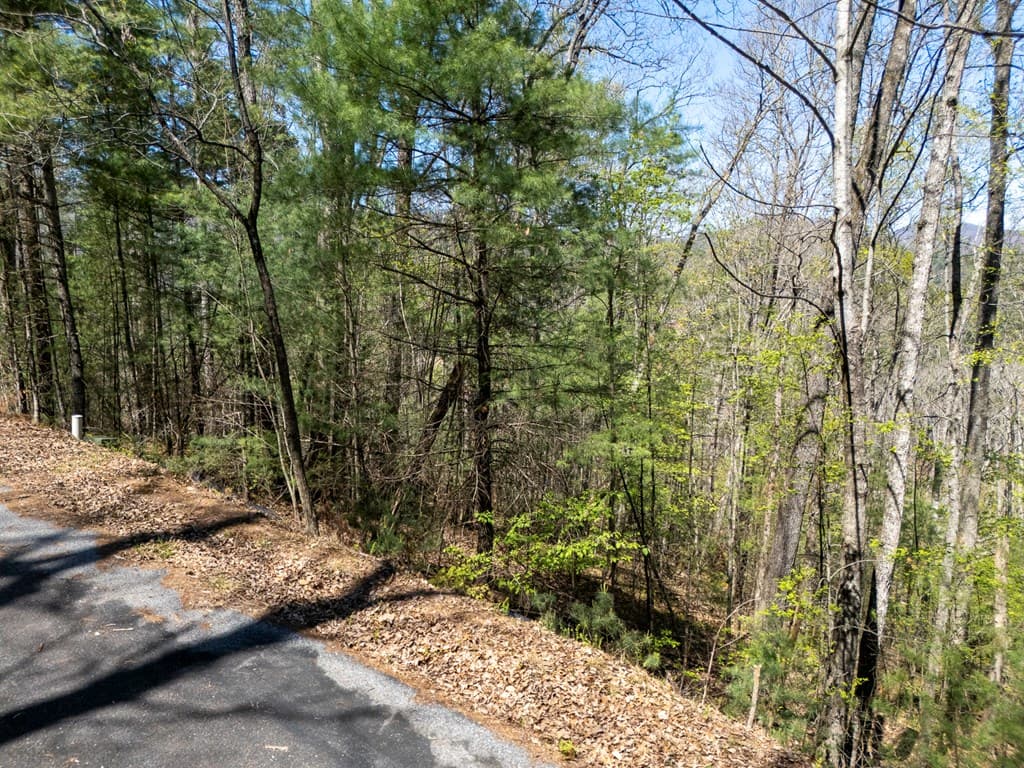 0 Laurel Trail, Suches GA 30572 - Photo