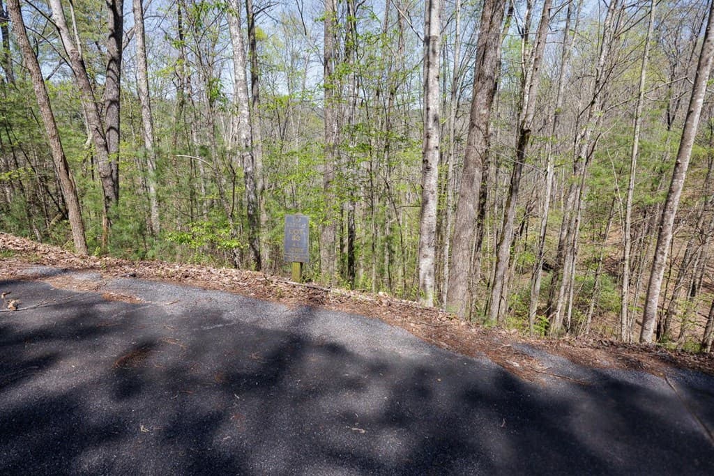 0 Laurel Trail, Suches GA 30572 - Photo