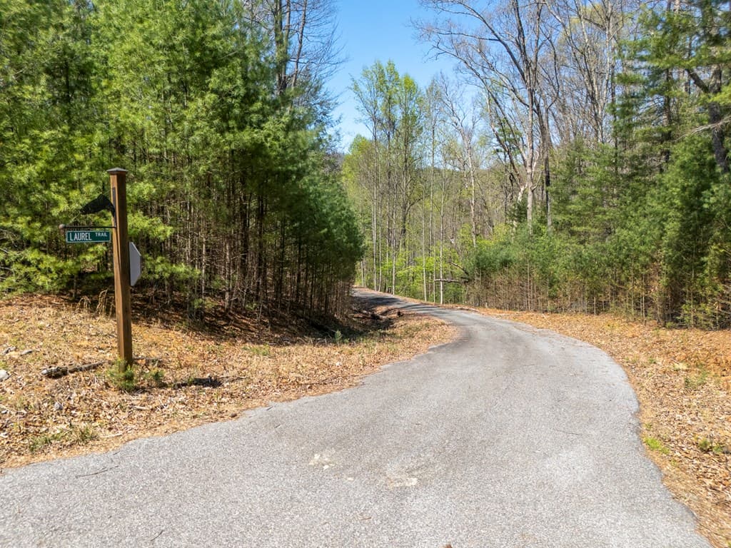 0 Laurel Trail, Suches GA 30572 - Photo
