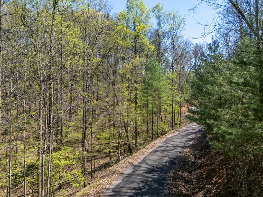 0 Laurel Trail, Suches GA 30572 - Photo