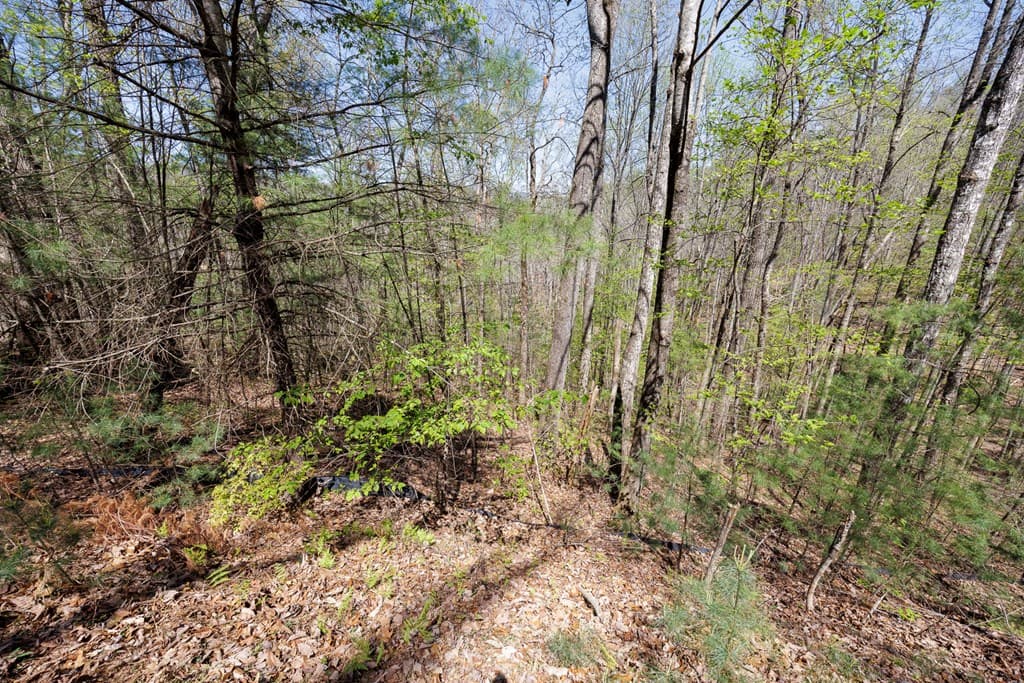 0 Laurel Trail, Suches GA 30572 - Photo