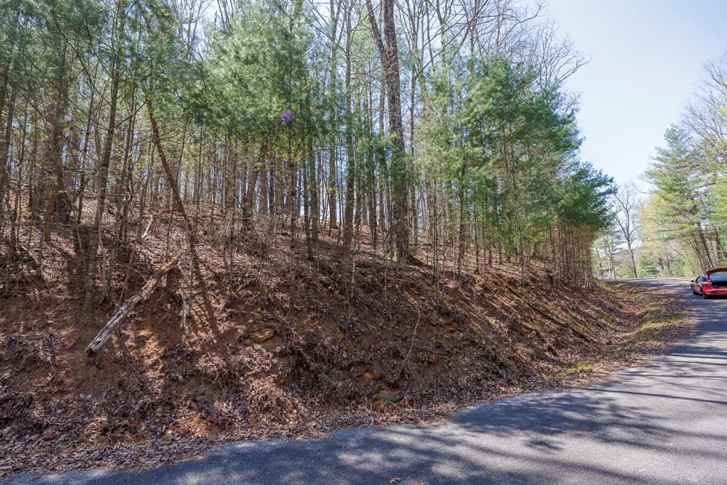0 Laurel Trail, Suches GA 30572 - Photo