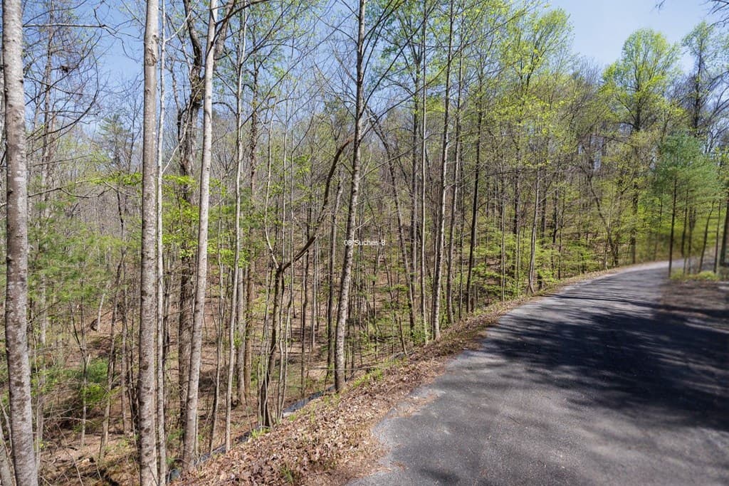 0 Laurel Trail, Suches GA 30572 - Photo