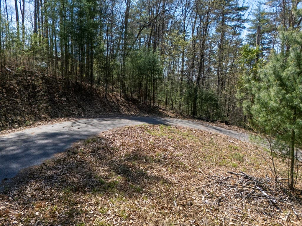0 Laurel Trail, Suches GA 30572 - Photo