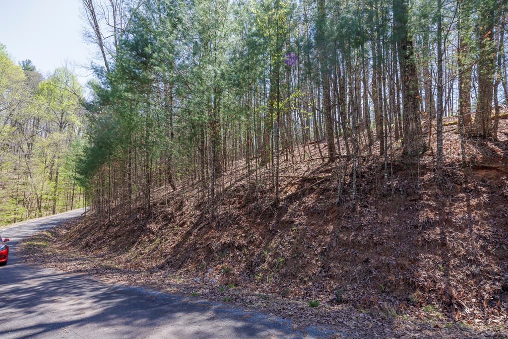 0 Laurel Trail, Suches GA 30572 - Photo