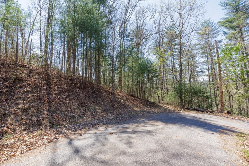 0 Laurel Trail, Suches GA 30572 - Photo