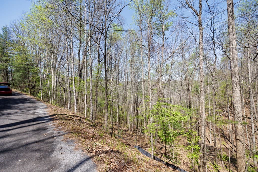 0 Laurel Trail, Suches GA 30572 - Photo