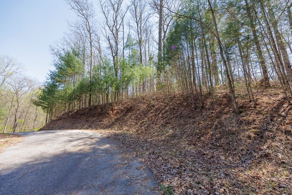 0 Laurel Trail, Suches GA 30572 - Photo