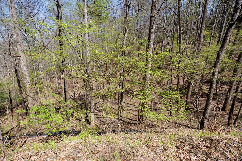 0 Laurel Trail, Suches GA 30572 - Photo
