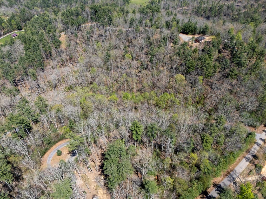 0 Laurel Trail, Suches GA 30572 - Photo