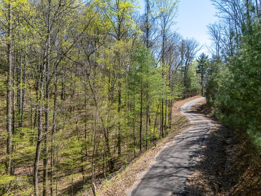 0 Laurel Trail, Suches GA 30572 - Photo