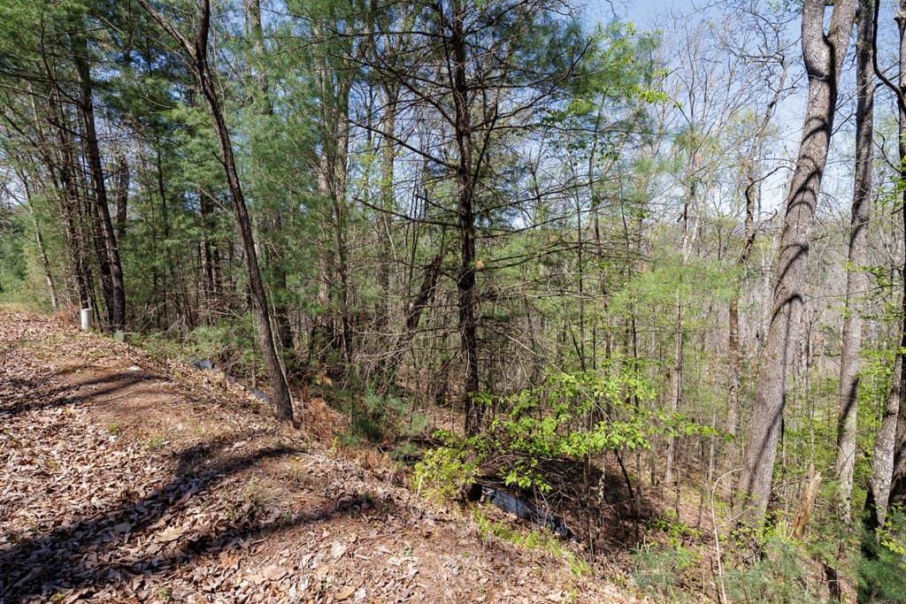 0 Laurel Trail, Suches GA 30572 - Photo