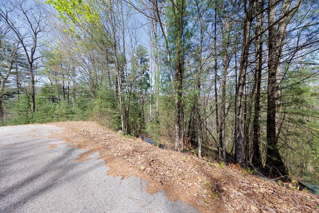 0 Laurel Trail, Suches GA 30572 - Photo