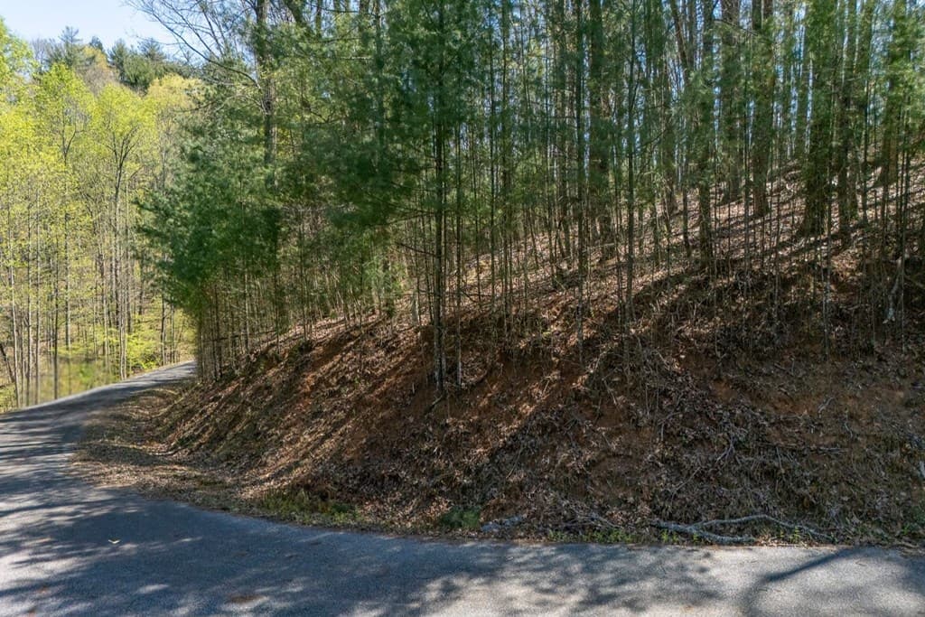0 Laurel Trail, Suches GA 30572 - Photo