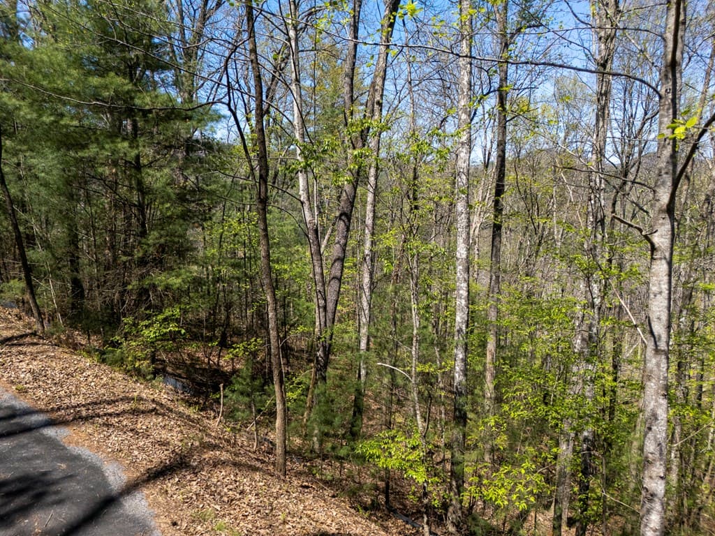 0 Laurel Trail, Suches GA 30572 - Photo