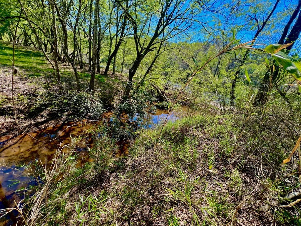 00 Toccoa River Forest, Mineral Bluff GA 30559 - Photo