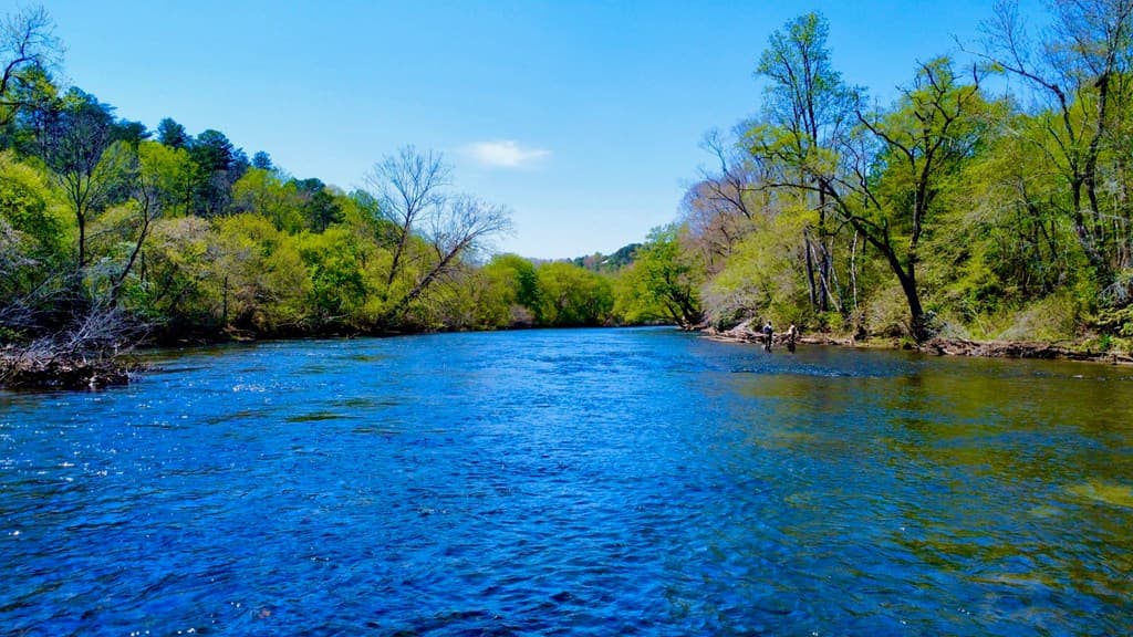 00 Toccoa River Forest, Mineral Bluff GA 30559 - Photo