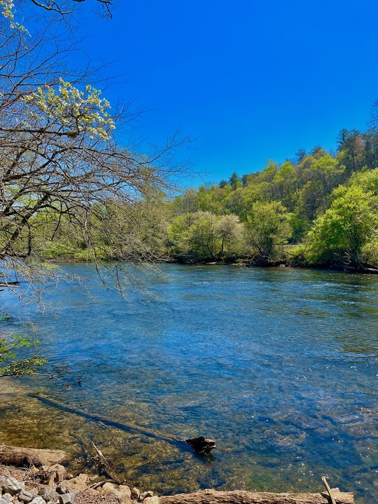 00 Toccoa River Forest, Mineral Bluff GA 30559 - Photo