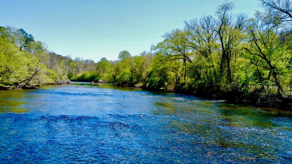 00 Toccoa River Forest, Mineral Bluff GA 30559 - Photo