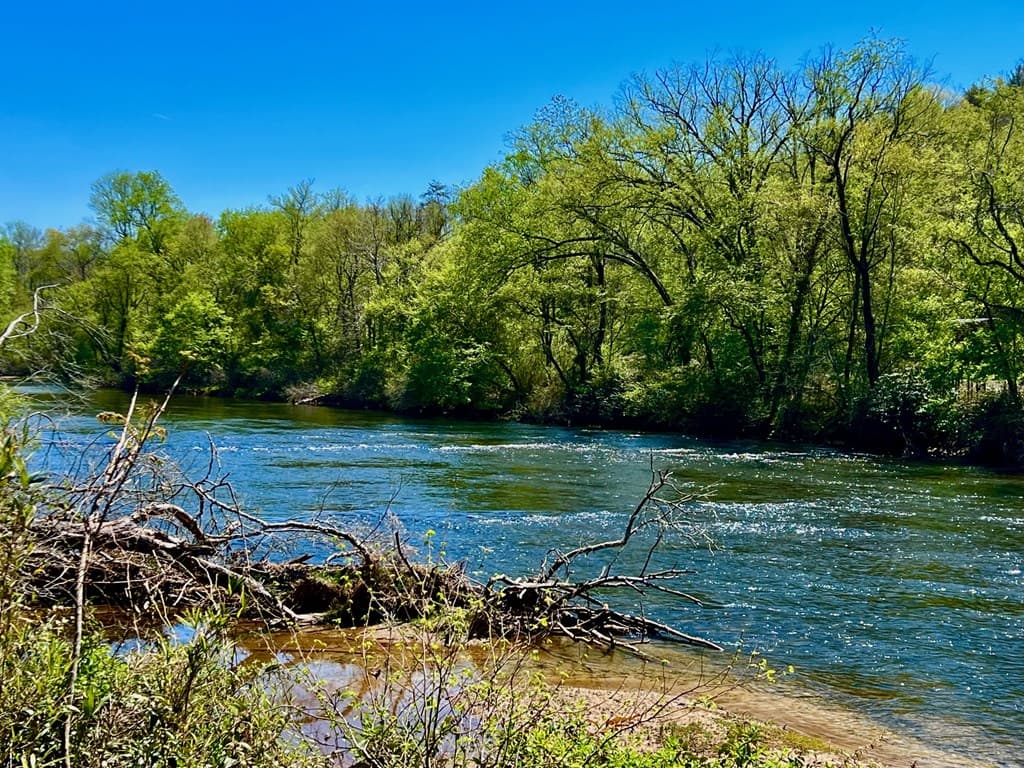 00 Toccoa River Forest, Mineral Bluff GA 30559 - Photo