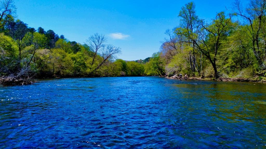 00 Toccoa River Forest, Mineral Bluff GA 30559 - Primary photo